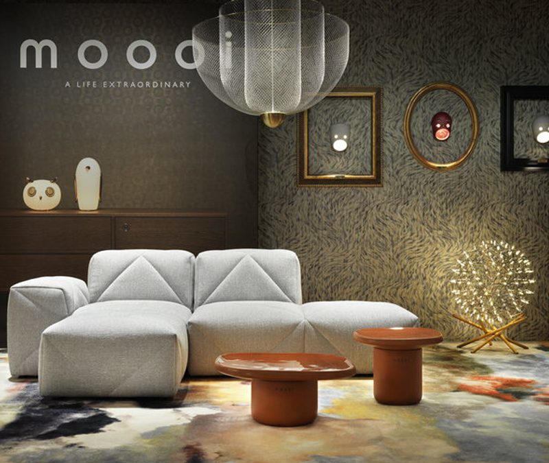 LA STORIA DI MOOOI